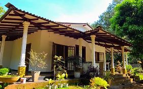 Greenville Resort And Spa