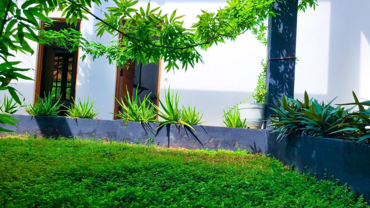 Greenville Resort And Spa Dambulla Exterior photo